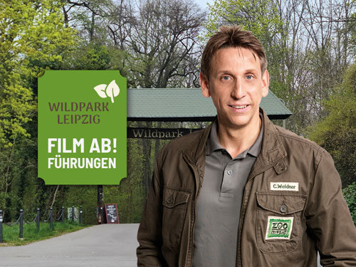 Veranstaltung in/um Leipzig: Film ab! die Führung im Wildpark Leipzig