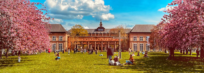 Frühling vor dem GRASSI Museum Leipzig