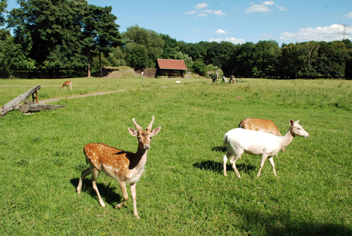 Wildpark Leipzig, Foto: LTM, Andreas Schmidt