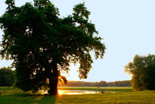 Abendstimmung im Rosental