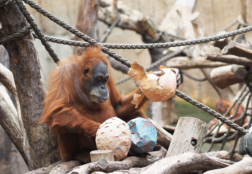 © Zoo Leipzig