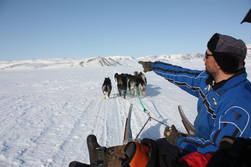 EUROPA Grönland Hundeschlitten © Thomas Bauer