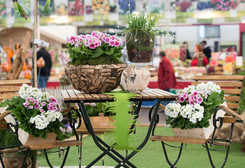 Haus Garten Freizeit Veranstaltungskalender Leipzig Im