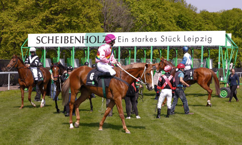 Foto: Susann Friedrich
