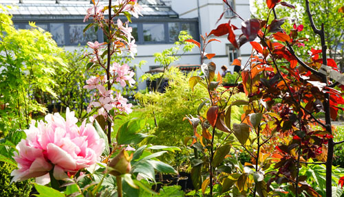 Leipziger Frühjahrs-Pflanzenmarkt, © Botanischer Garten Leipzig