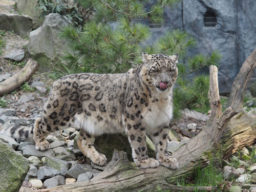 Quelle © Zoo Leipzig