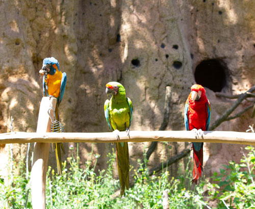 Veranstaltung in/um Leipzig: Abenteuer-Sommer im Zoo Leipzig