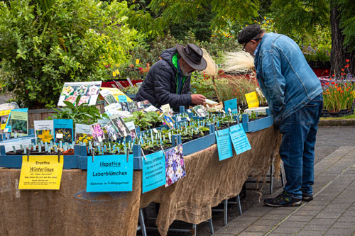 Leipziger Pflanzenmarkt, Foto: Ulrike Pulanco