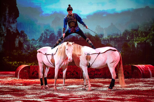 Der italienische Pferdeartist Diego Giona ist berühmt dafür, bis zu 10 Pferde gleichzeitig zu führen. Quelle: Diego Giona